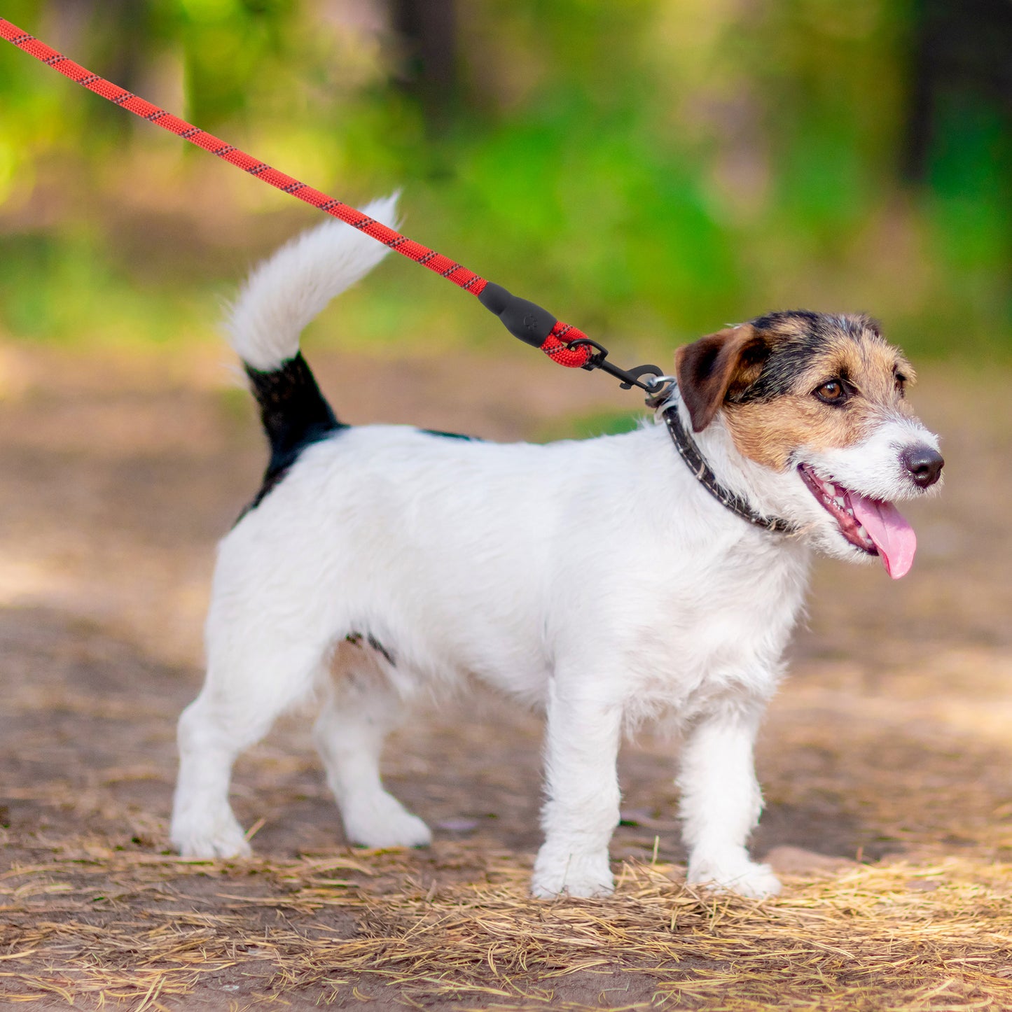 Heavy-Duty Reflective Dog Lead – Red | 13mm Rope Dog Lead for Large Dogs
